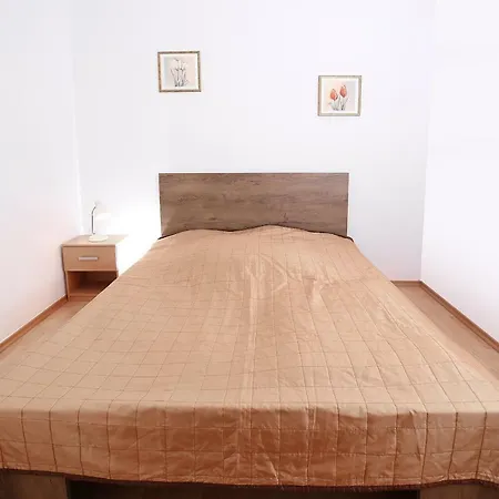 100-sio 科沃布热格